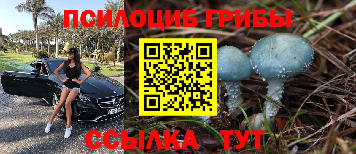 Реутов  Псилоцибиновые грибы ЛСД  Вход с VPN 