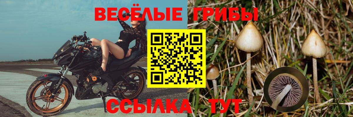Псилоцибиновые грибы Magic Shrooms Реутов